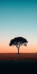 Einzelner Baum auf sanfter Anh&ouml;he vor einem farbenfrohen Himmel

