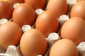 Fresh eggs in a cardboard tray
