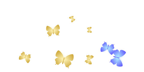 Exotic bright butterflies abstract vector background. Summer colorful insects. Simple butterflies abstract children wallpaper. Gentle wings moths graphic design. Garden beings.