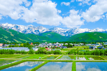 新緑の白馬村と残雪の北アルプス © Mugi
