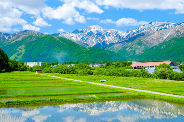 新緑の白馬村と残雪の北アルプス © Mugi