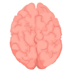 Brain png sticker, transparent background