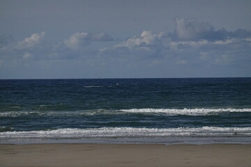 Texel island with the sea
