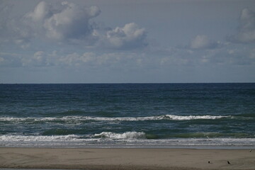 Texel island with the sea