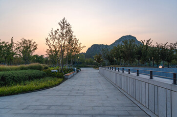 Serene Pathway Through Lush Park at Sunset