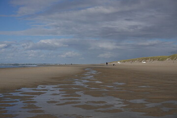 Texel island with the beach