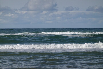 Texel island with the sea