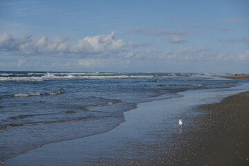 Texel island with the sea