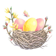 Watercolor bird's nest with red and yellow colored easter eggs on white background. Willow branch and forsythia decor. Festive hand drawn composition. Illustration perfect for greeting cards