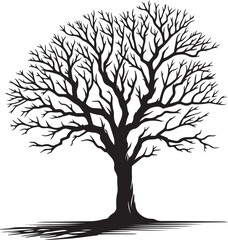 Obraz premium Vector art illustrations of a leafless tree silhouette 