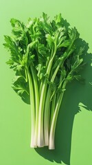 Lush Green Celery Stalks on Vibrant Green Background Healthy Organic Vegetable Ingredient for Cooking and Salad