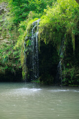 waterfall in the forest