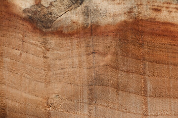 texture of wood, texture background, background, wooden background, wood texture, Close-up of Wood texture, natural wood pattern, Old wood texture background, Abstract texture
