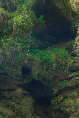 waterfall in the forest
