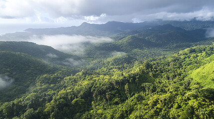 Fototapeta premium lush tropical rainforest of El Yunque showcases vibrant greenery and misty mountains