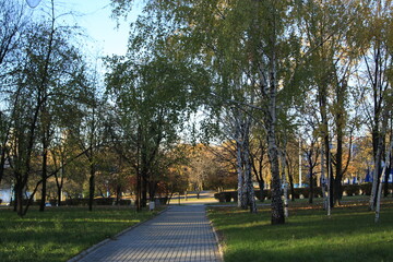 Obraz premium Autumn city