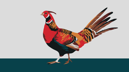 Colorful Illustration of a Pheasant Bird with Detailed Feather Design