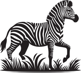 A zebra that is black and white

