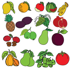 Cute cartoon hand drawn vector A set of fruits flat clipart.