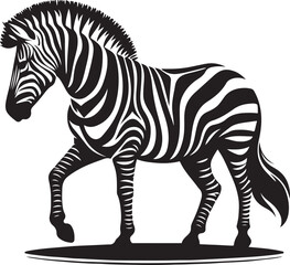 Fototapeta premium A zebra that is black and white 