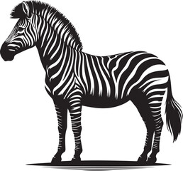 Fototapeta premium A zebra that is black and white 