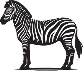 Obraz premium A zebra that is black and white 