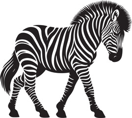 Fototapeta premium A zebra that is black and white 