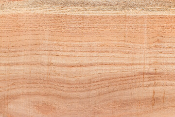 texture of wood, texture background, background, wooden background, wood texture, Close-up of Wood texture, natural wood pattern, Old wood texture background, Abstract texture