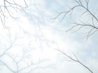 Delicate frosty tree branches on a soft blue background, ideal for seasonal designs or winter-themed concepts. Generative AI
