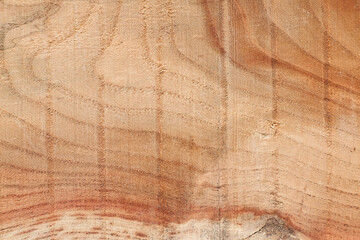 texture of wood, texture background, background, wooden background, wood texture, Close-up of Wood texture, natural wood pattern, Old wood texture background, Abstract texture