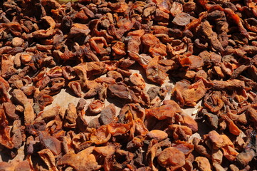 Apricots drying in the sun on a roof on a sunny day. Delicious natural sun dried food and fruits.