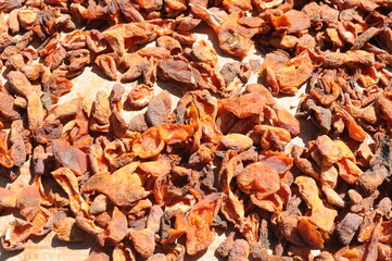 Apricots drying in the sun on a roof on a sunny day. Delicious natural sun dried food and fruits.