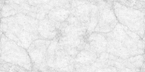 Abstract earth cracks texture on isolate vector background, Black and white old dirty texture, white and black cracks Transparent texture with vector marble pattern background.	