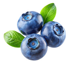 Transparent Blueberries