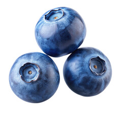 Transparent Blueberries