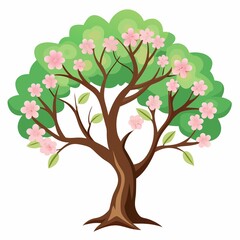 illustration of a maple tree