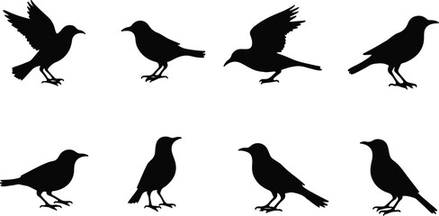 Collection of Bird Silhouette Vector Illustrations