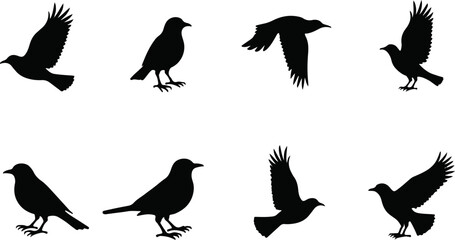 Collection of Bird Silhouette Vector Illustrations