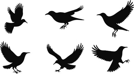 Collection of Bird Silhouette Vector Illustrations