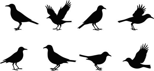 Collection of Bird Silhouette Vector Illustrations
