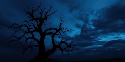 Silhouette of a gnarled, leafless tree against a dramatic twilight sky, conveying a sense of mystery and solitude.