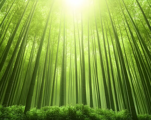 Fototapeta premium Serene bamboo forest bathed in sunlight, tall green stalks reaching towards the heavens, creating a peaceful and tranquil atmosphere.