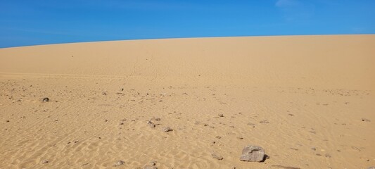 Naturaleza: azul en el desierto