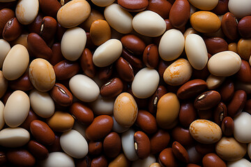 Assorted Raw Beans Close-Up &ndash; Healthy Organic Legumes Texture Background