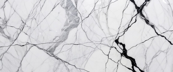 Fototapeta premium Stylish white marble background with black veining for elegant design applications