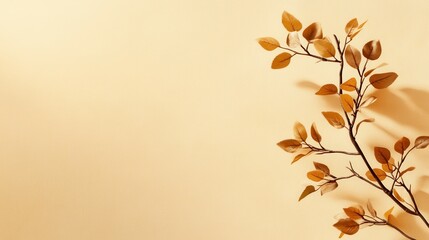 A branch of a tree with leaves on it is on a tan background