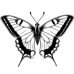 butterfly illustration, Silhouette of butterfly