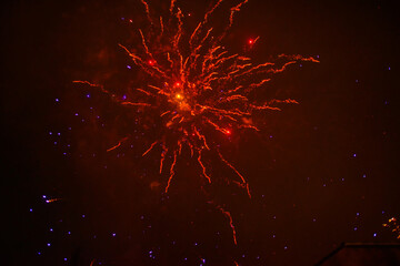 Fireworks exploding colorful in a dark night sky to celebrate New Year, Almere, Flevoland,...