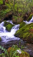 Fototapeta premium Himachal Pradesh – The Land of Majestic Mountains and Serene Beauty