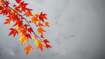 Autumnal Branch with Vibrant Red and Orange Leaves Against a Cloudy Sky
